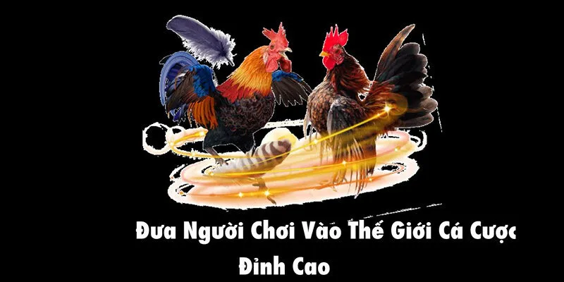da ga do99